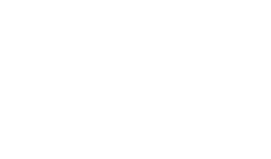 NorthLight AI
